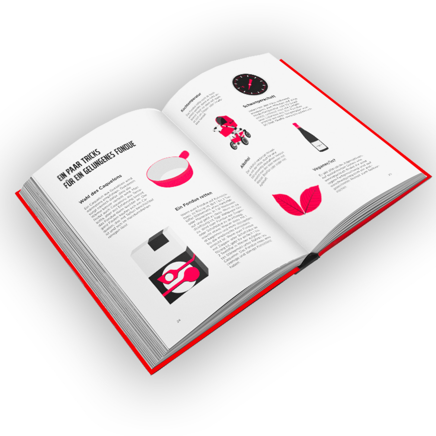 Kochbuch "Haute Fondue"