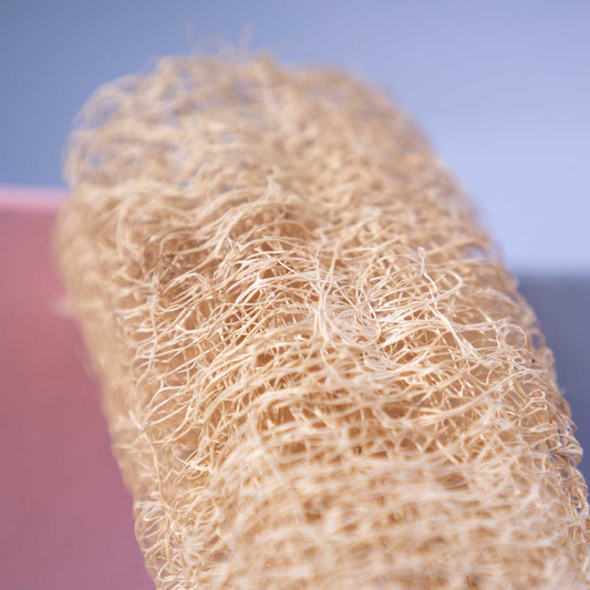 Luffa Schwamm 'Le gurque'