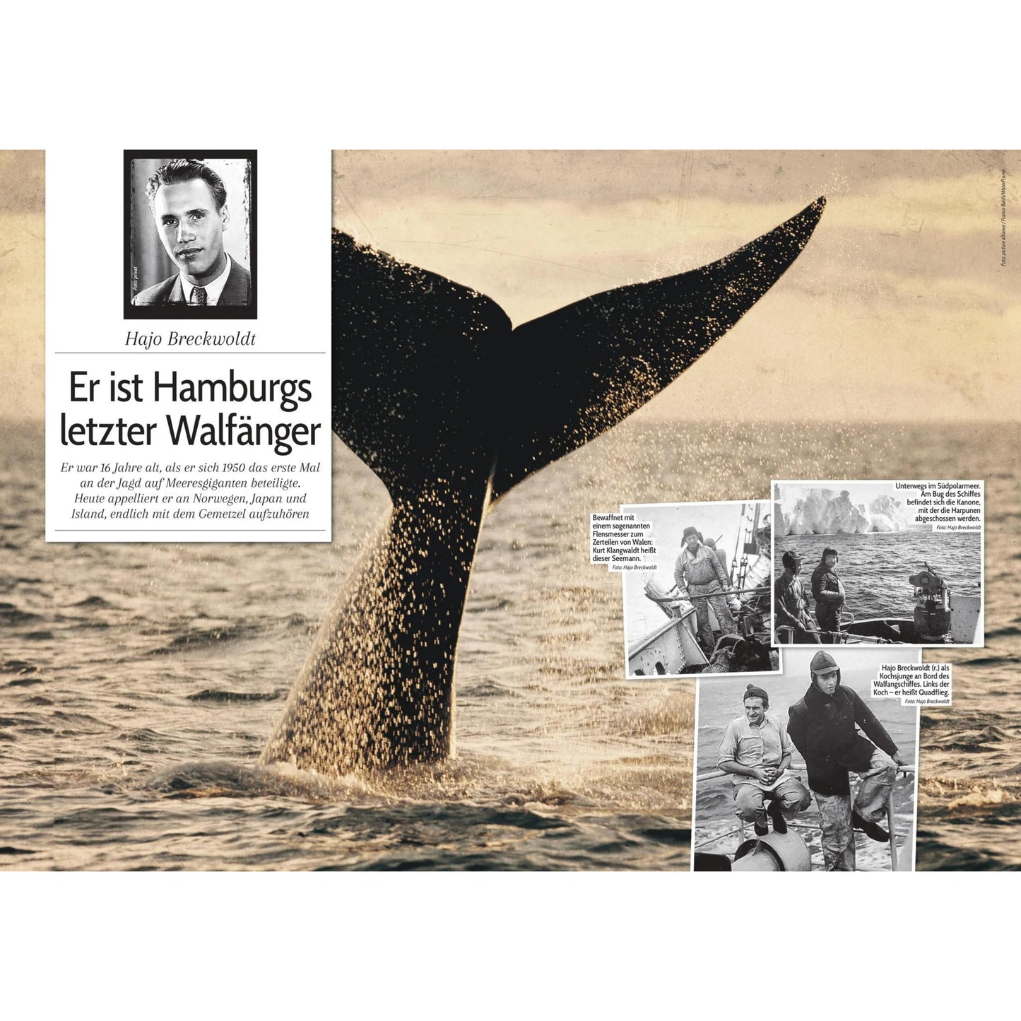 MOPO-Magazin "Unser Hamburg" - Band 19
