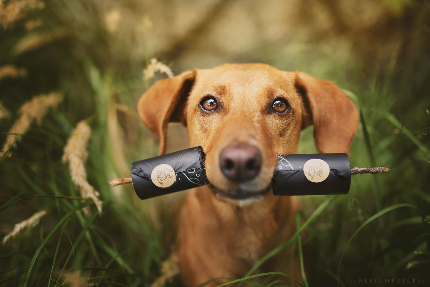 Biologisch abbaubare Hundekotbeutel 18er Pack