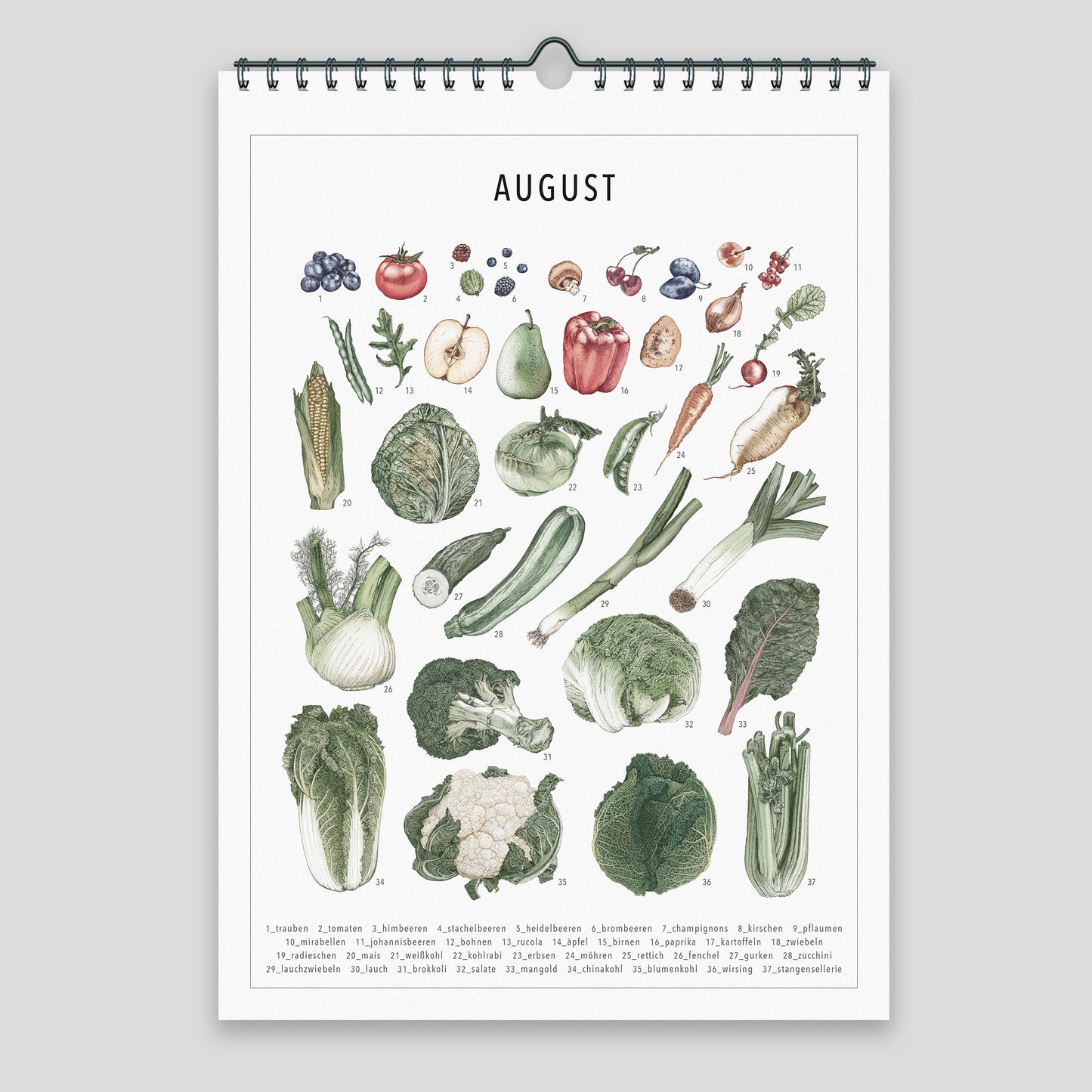 Saisonkalender – Wandkalender Coloriert (DINA4)