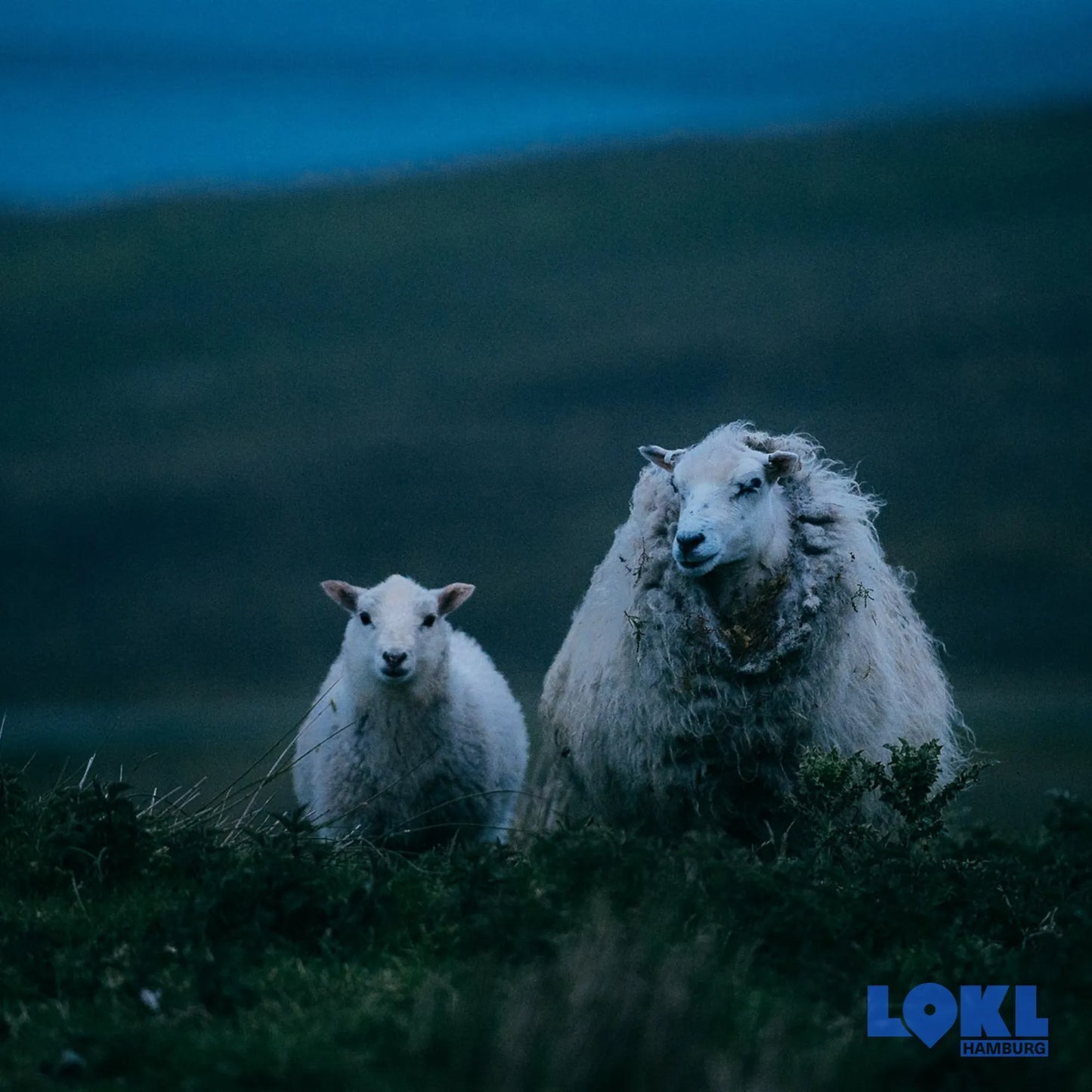 Bildband 'Cold Waters'