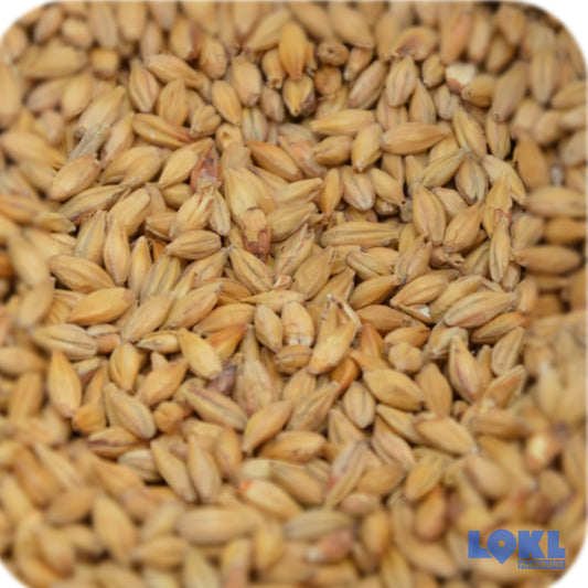 Bier 'DiggaBräu' - 4er Box