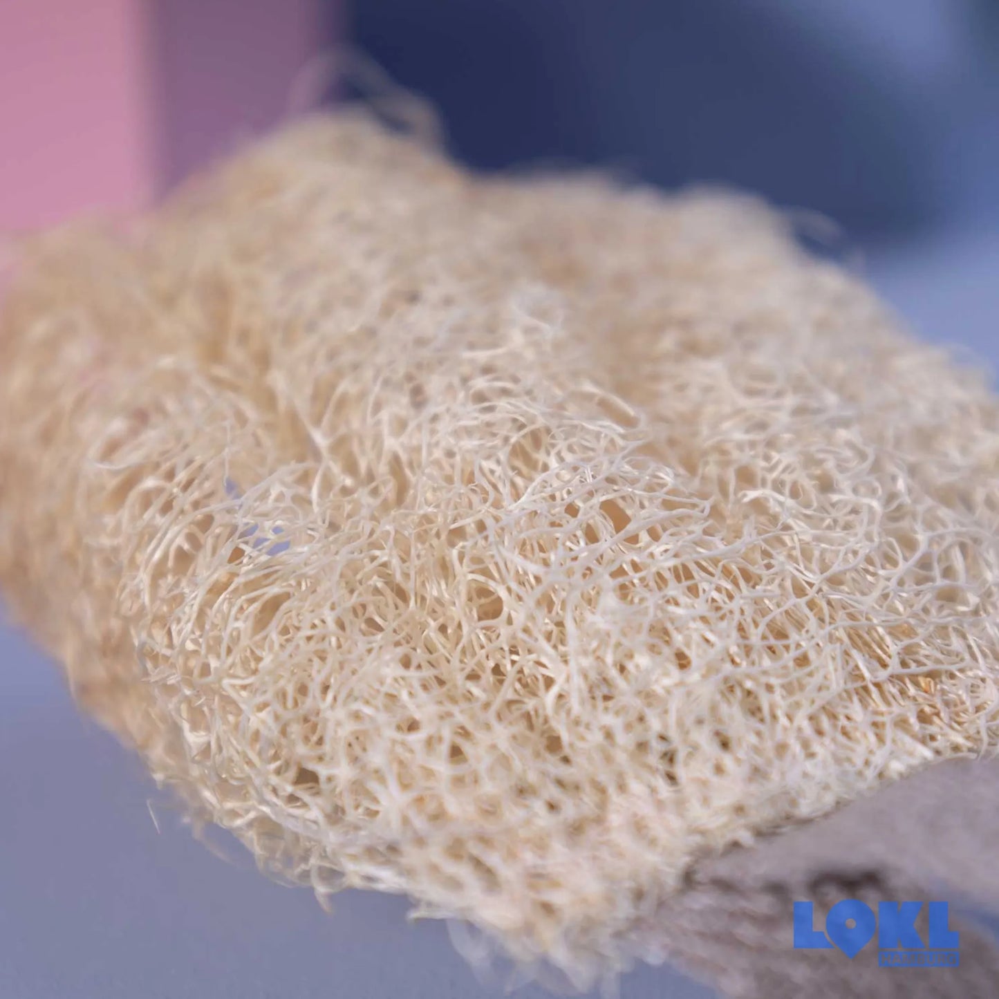 Luffa Schwamm 'Le gurque'