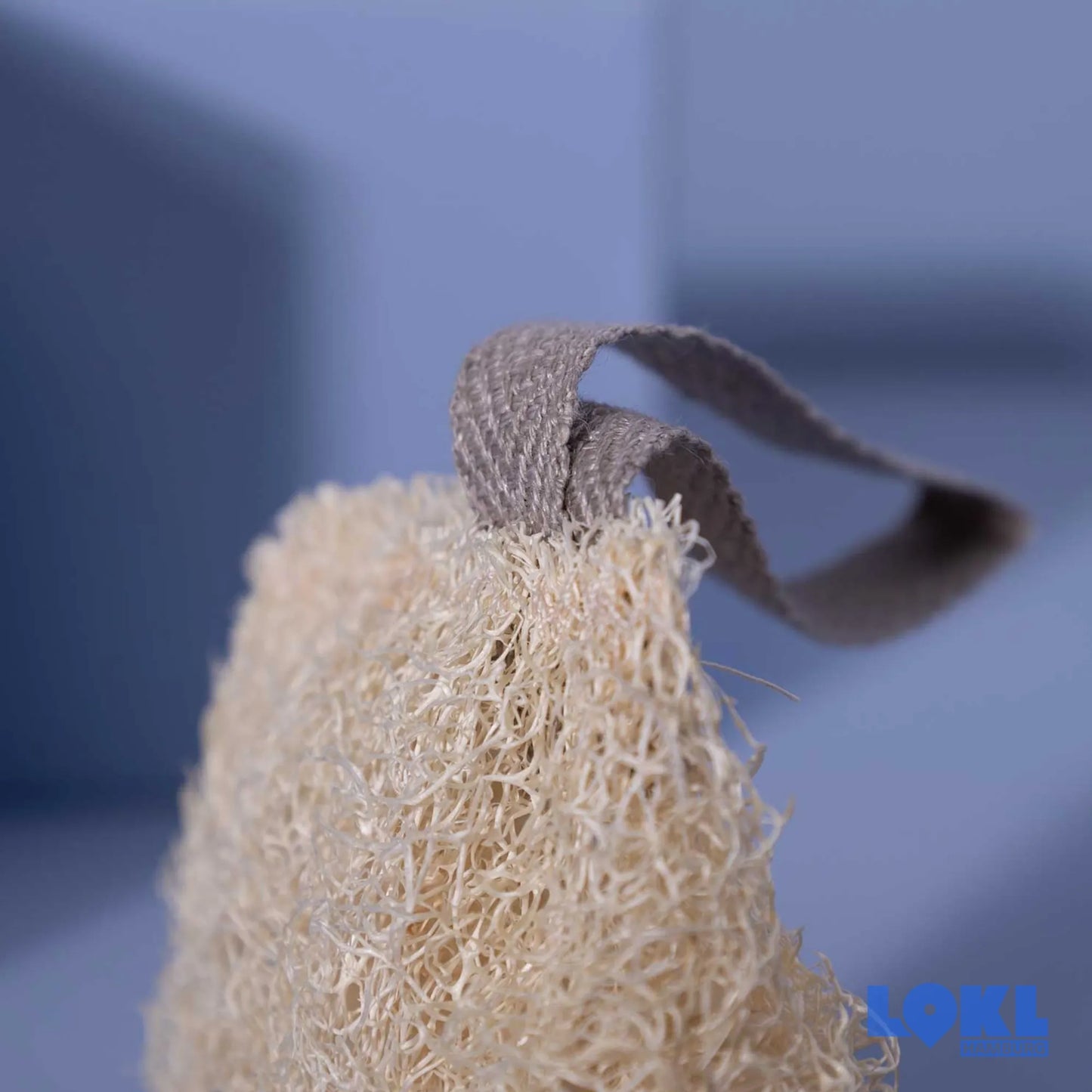 Luffa Schwamm 'Le gurque'