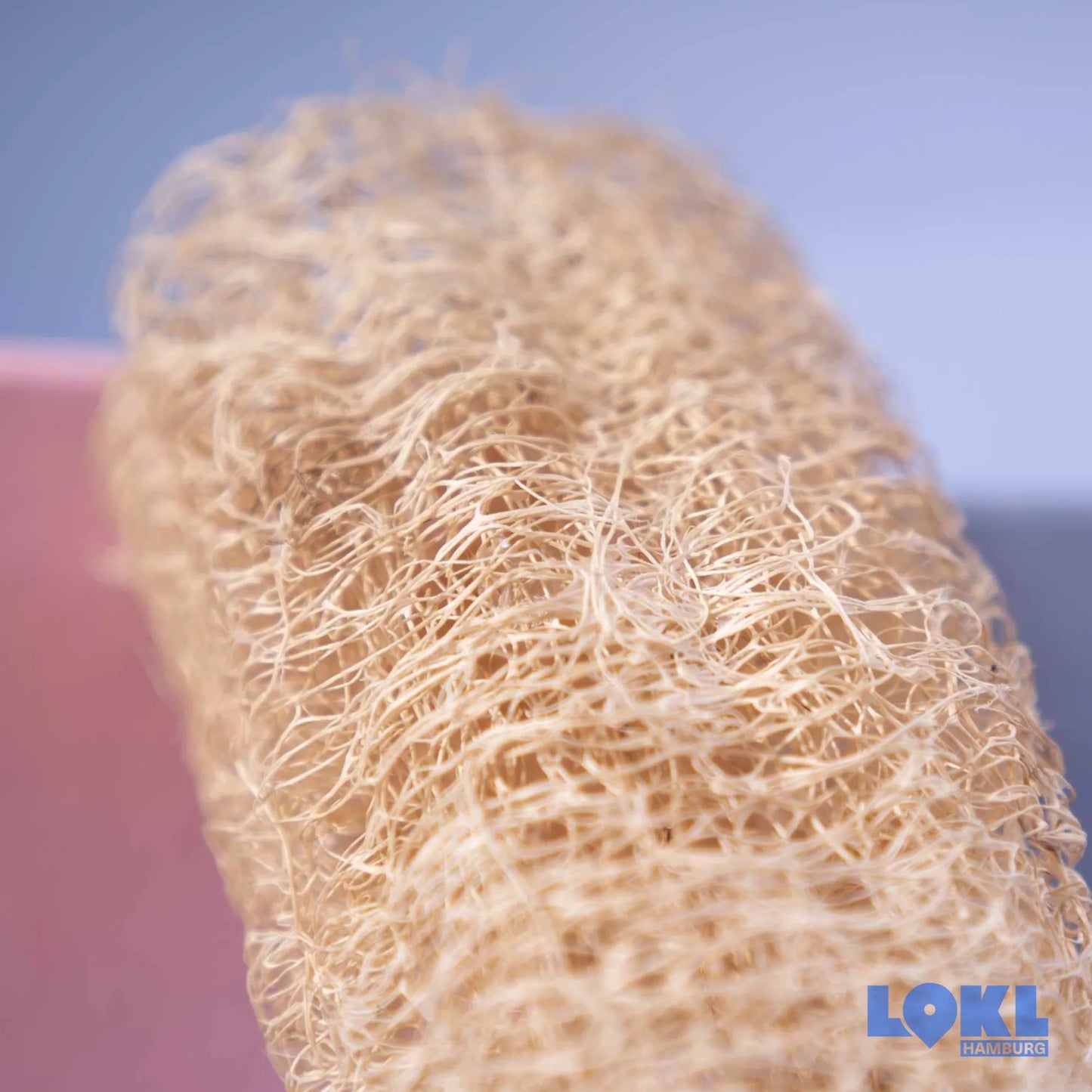 Luffa Schwamm 'Le gurque'