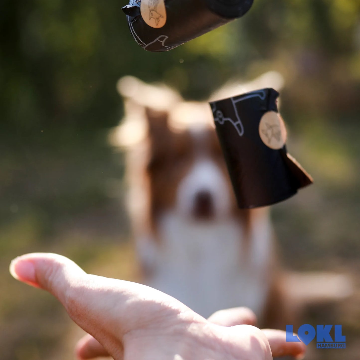 Hundekotbeutel - Zero Waste