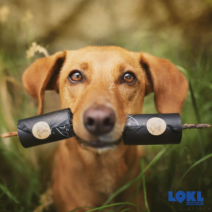 Hundekotbeutel - Zero Waste